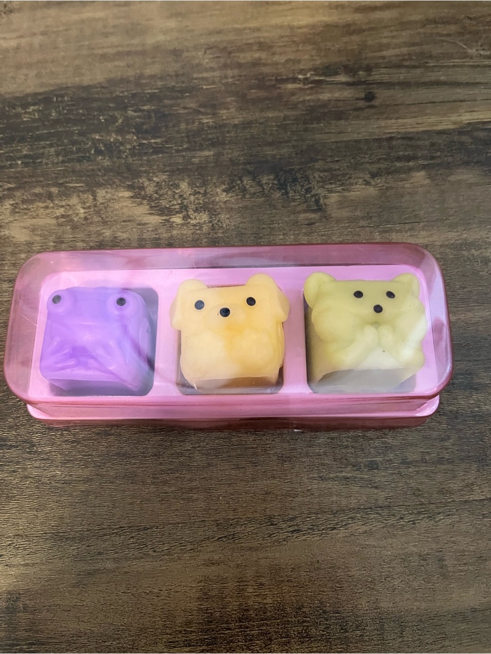 Mushykinz mini taba squishies